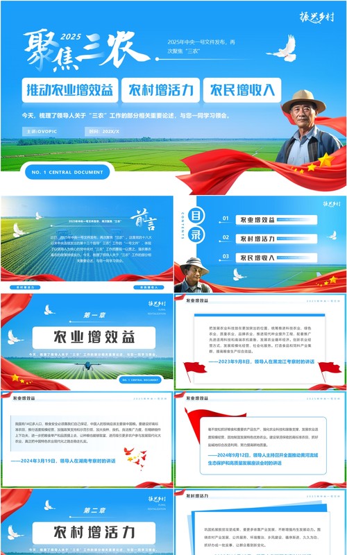 蓝色简约风2025中央一号文件聚焦三农PPT模板