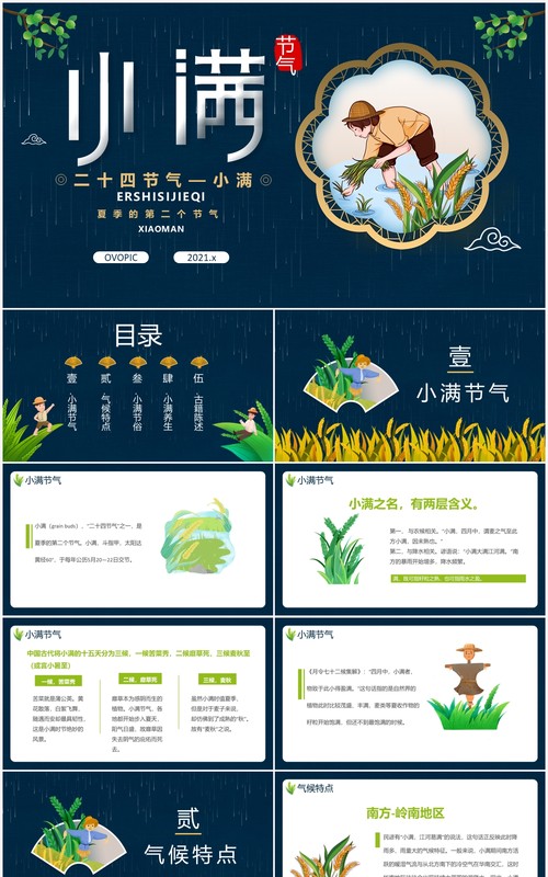 创意卡通风二十四节气小满传统节日介绍动态PPT模板