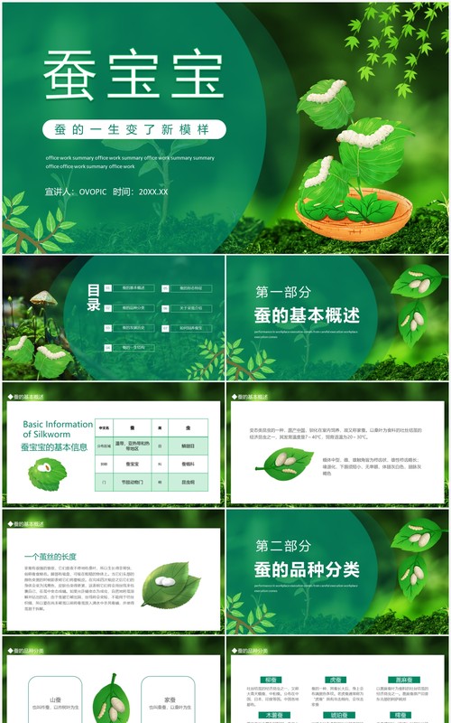如何饲养蚕宝宝知识介绍动态PPT模板