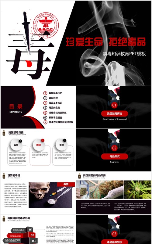 简约禁毒日知识教育宣传PPT模板