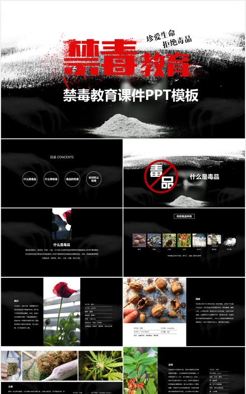 黑色禁毒教育主题课件PPT模板