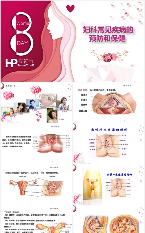 粉色简约女性妇科常见疾病预防和保健知识讲座PPT模板