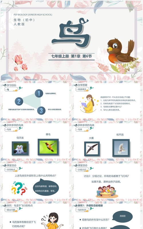 部编版七年级语文上册鸟课件PPT模板