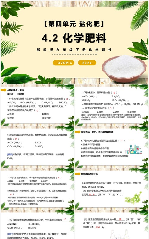 部编版九年级化学下册化学肥料课件PPT模板