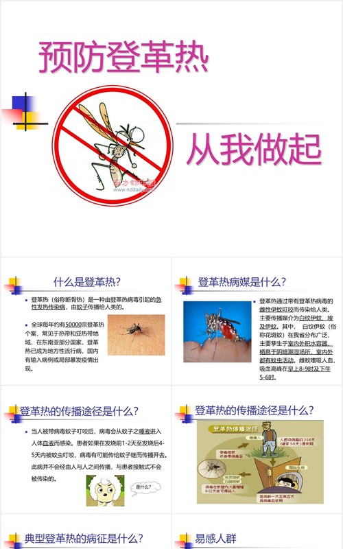 简洁幼儿园预防登革热传染病知识课件PPT模板