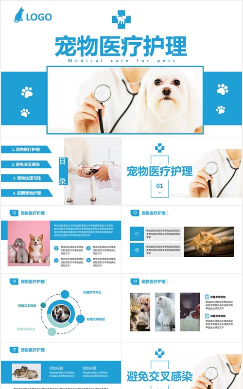 蓝色简约宠物医疗护理介绍宣传培训PPT模板