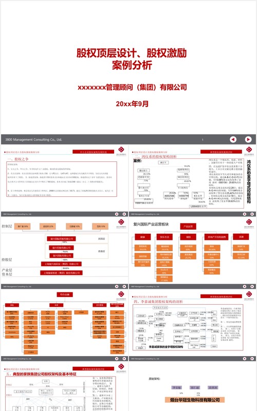 公司股权设计股权激励案例分析PPT模板