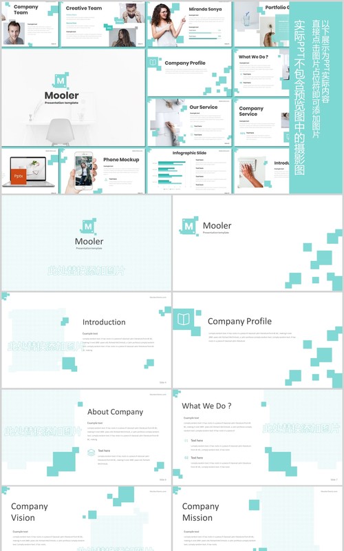公司项目产品介绍PPT模板版式设计Mooler - Powerpoint Template
