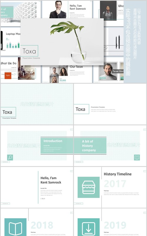 公司简介通用PPT模板Toxa powerpoint template