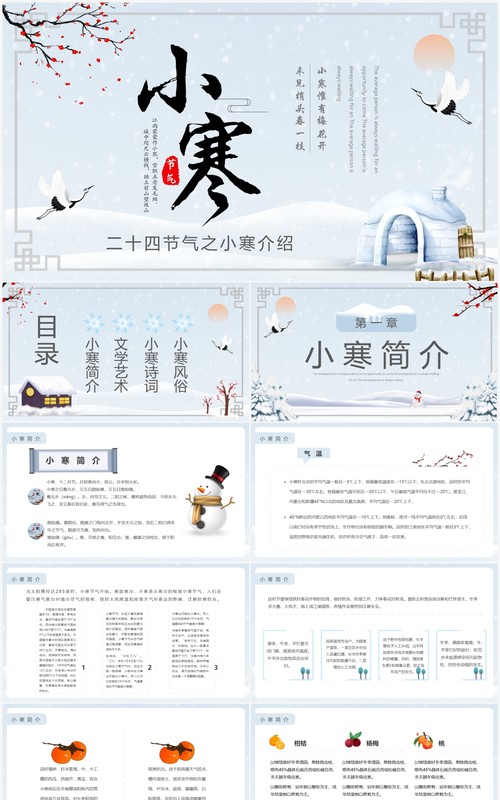 淡雅简约二十四节气之小寒介绍PPT模板