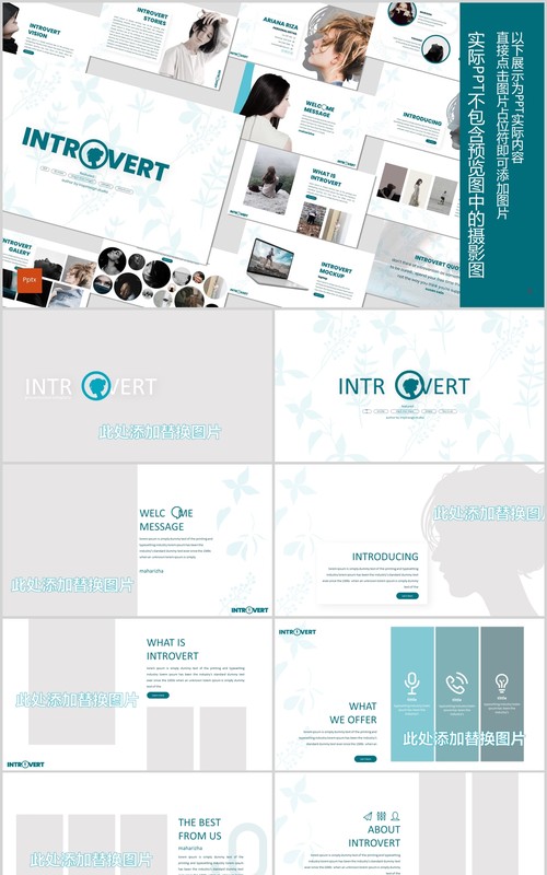 内向型求职竞聘个人简历介绍PPT模板版式设计Introvert Powerpoint Template