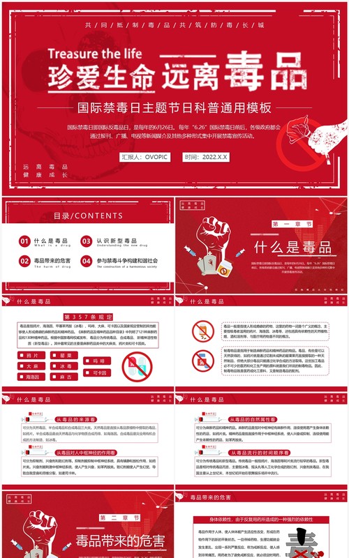 红色简约国际禁毒日科普宣传PPT模板