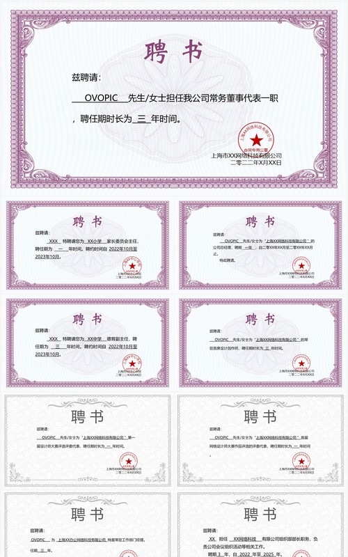 聘书合集PPT模板