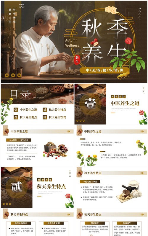 棕色中国风秋季养生中医保健知识PPT模板