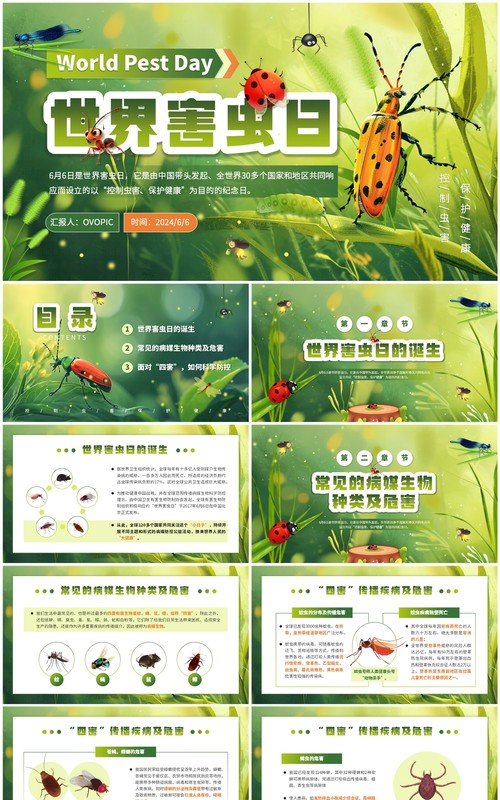 绿色插画风世界害虫日知识宣传PPT模板