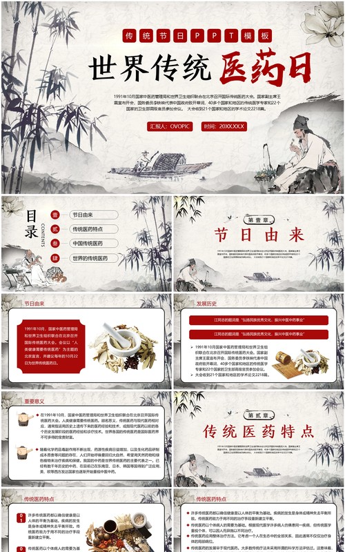红色中国风世界传统医药日PPT模板