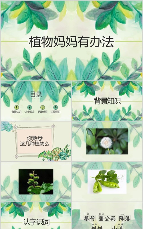 绿色小学二年级语文课件植物妈妈有办法PPT教师说课模板
