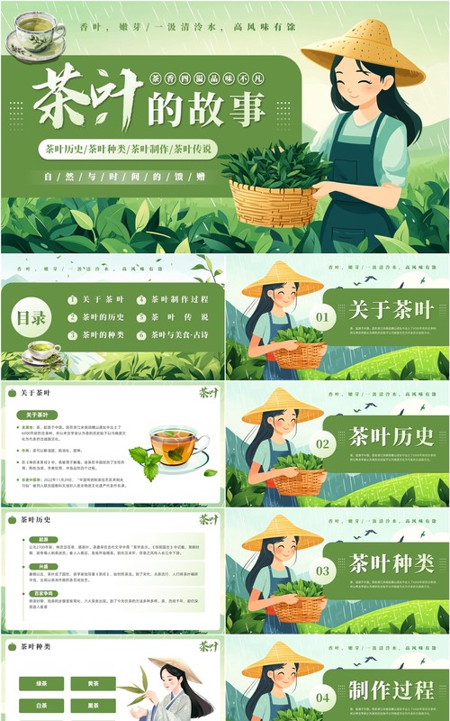 绿色插画风茶叶的故事PPT模板