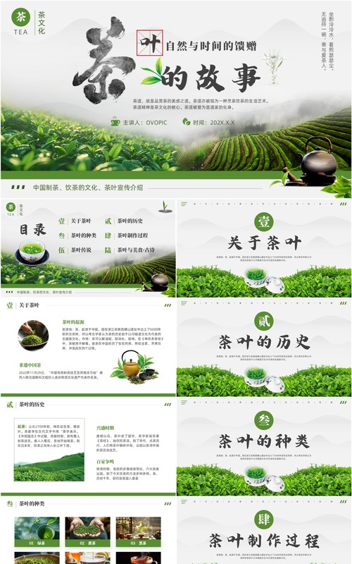 绿色清新风中国传统茶文化介绍PPT模版
