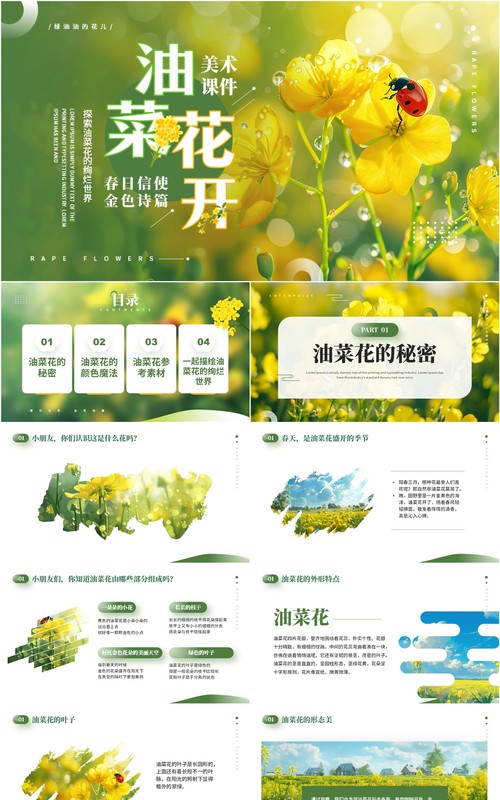 绿色小清新油菜花开美术课件PPT模板