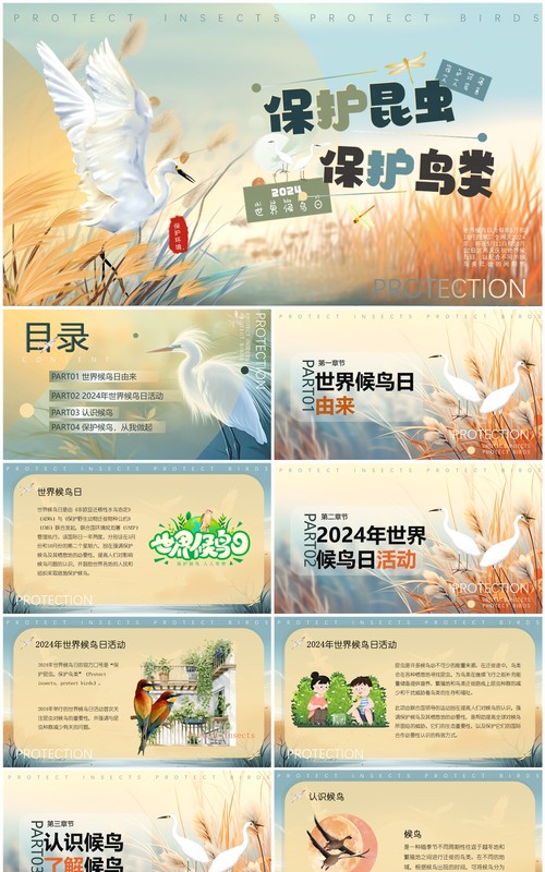 蓝色插画风世界候鸟日介绍PPT模板