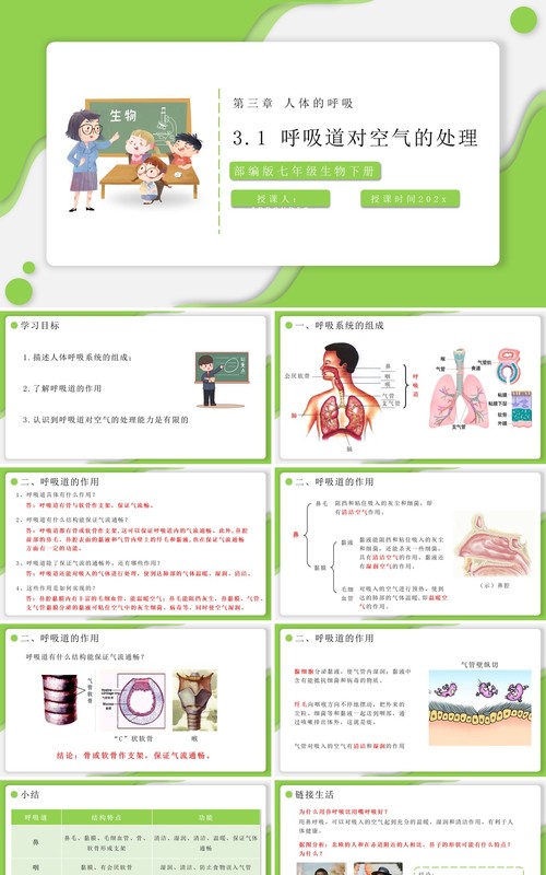 部编版七年级生物下册呼吸道对空气的处理课件PPT模板