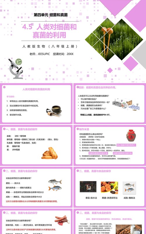 部编版八年级生物上册人类对细菌和真菌的利用PPT模板