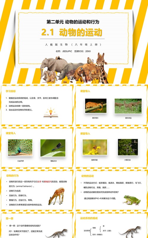 部编版八年级生物上册动物的运动PPT模板