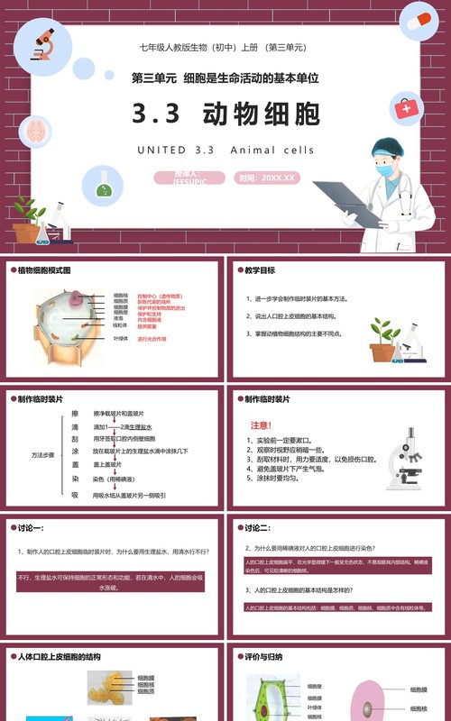 部编版七年级生物上册动物细胞课件PPT模板