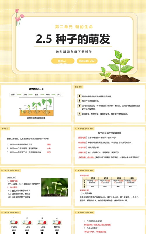 教科版四年级下册种子的萌发课件PPT模板