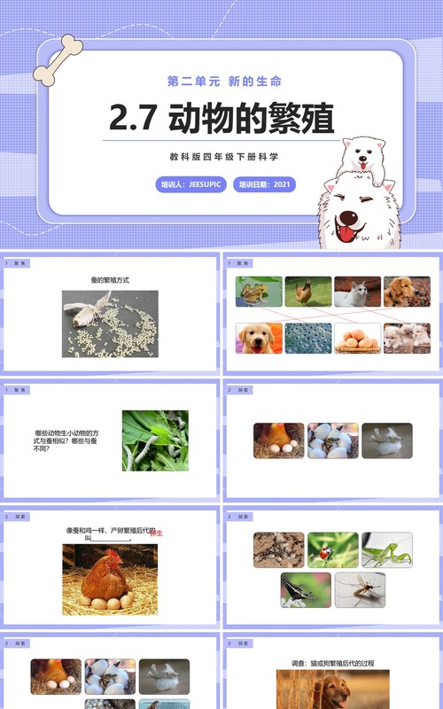 教科版四年级下册动物的繁殖课件PPT模板