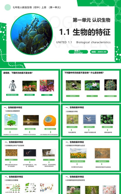 部编版七年级生物上册生物的特征PPT模板