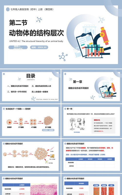 部编版七年级生物上册动物体的结构层次课件PPT模板