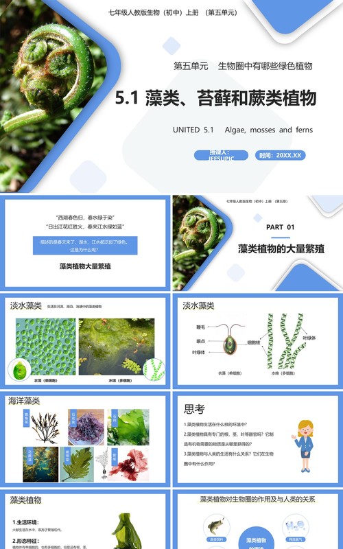 部编版七年级生物上册藻类、苔藓和蕨类植物课件PPT模板