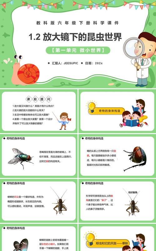 教科版六年级科学下册放大镜下的昆虫世界课件PPT模板