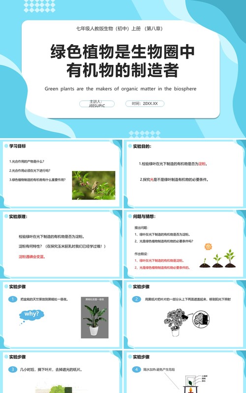 人教版七年级生物上册绿色植物是生物圈中有机物的制造者课件PPT模板