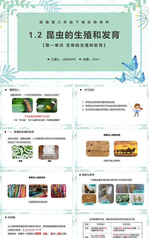 部编版八年级生物下册昆虫的生殖和发育课件PPT模板