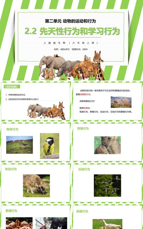 部编版八年级生物上册先天性行为和学习行为PPT模板