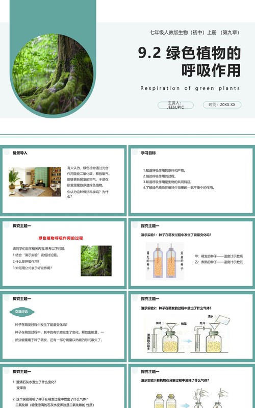 人教版七年级生物上册绿色植物的呼吸作用课件PPT模板