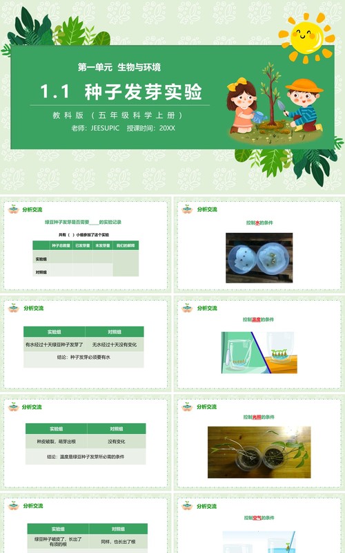 教科版五年级科学上册种子发芽实验PPT模板