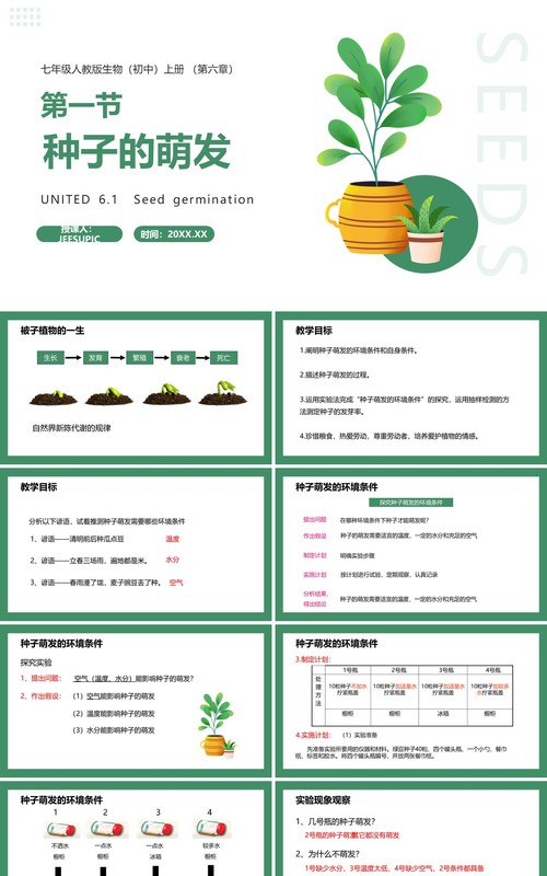 部编版七年级生物上册种子的萌发课件PPT模板