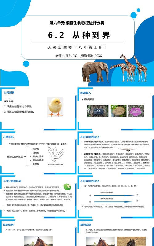 部编版八年级生物上册从种到界PPT模板