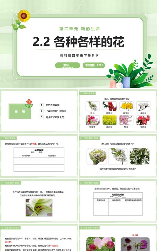 教科版四年级下册各种各样的花课件PPT模板