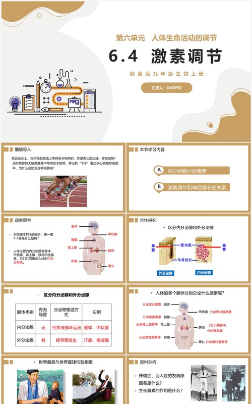 部编版九年级上册激素调节课件PPT模板