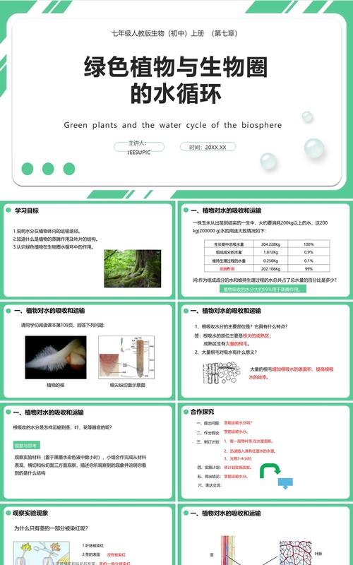 人教版七年级生物上册绿色植物与生物圈的水循环课件PPT模板