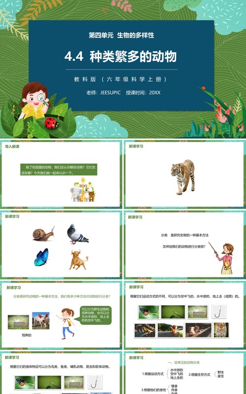 教科版六年级科学上册种类繁多的动物PPT模板