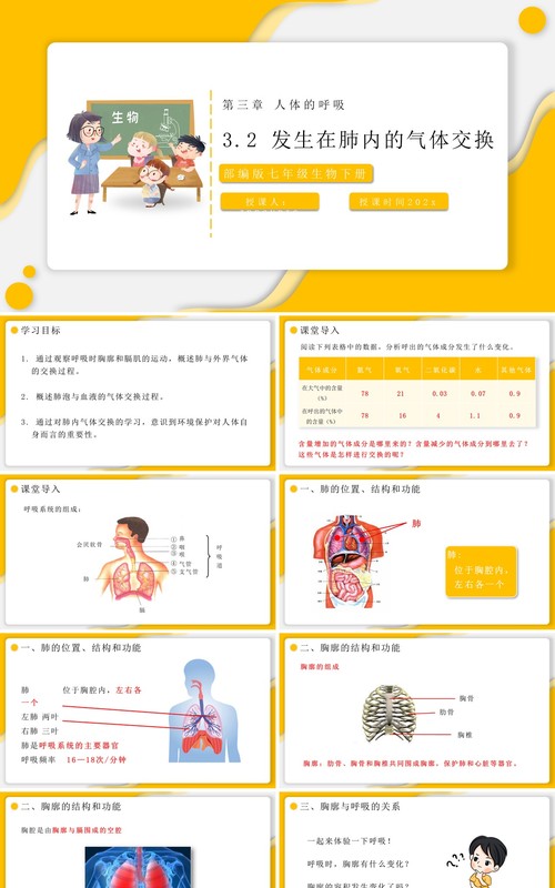 部编版七年级生物下册发生在肺内的气体交换课件PPT模板