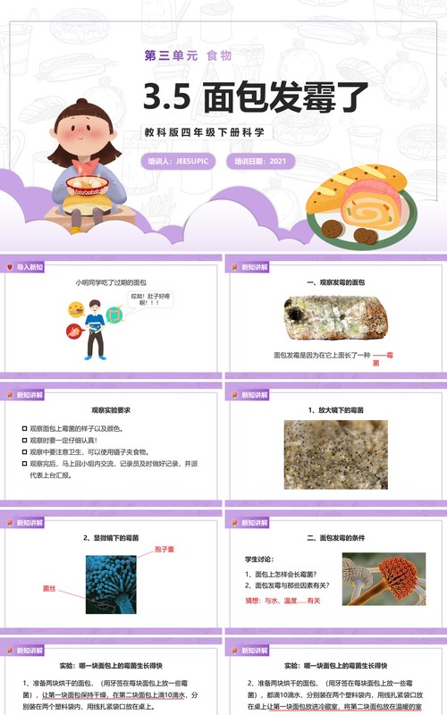 教科版四年级下册面包发霉了课件PPT模板