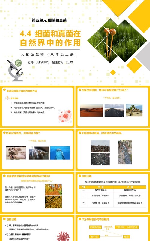 部编版八年级生物上册细菌和真菌在自然界中的作用PPT模板