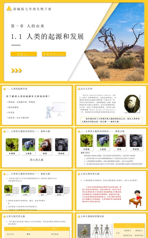 部编版七年级生物下册人类的起源与发展课件PPT模板